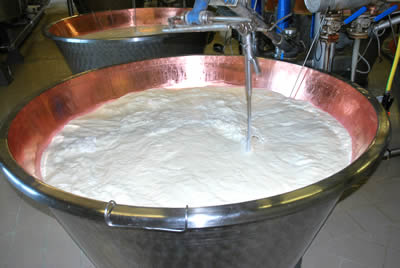 Caseificio San Vitale - produzione Caseificio San Vitale - produzione