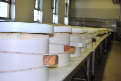 Caseificio San Vitale - produzione Caseificio San Vitale - produzione