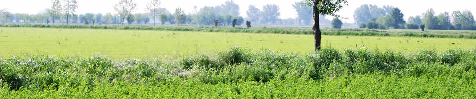 Caseificio San Vitale - territory